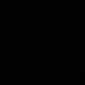 Meet your Posher, Gayle